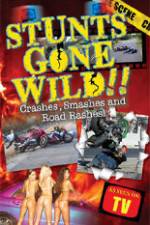Watch Stunts Gone Wild: Crashes, Smashes & Road Rashes! 1channel