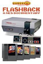 Watch Flashback NES Documentary 1channel