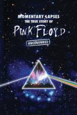 Watch Pink Floyd: Momentary Lapses - The True Story Of Pink Floyd 1channel