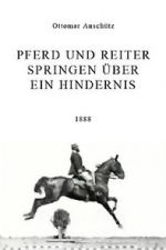 Watch Pferd und Reiter Springen ber ein Hindernis 1channel