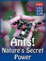 Watch Ants: Nature\'s Secret Power 1channel