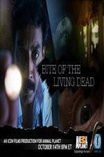 Watch Bite of the Living Dead 1channel