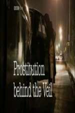 Watch Prostitution: Behind the Veil 1channel