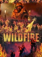 Watch Wild Fire 1channel