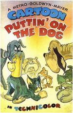 Watch Puttin\' on the Dog 1channel