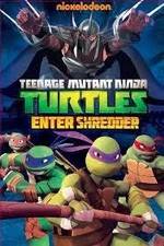 Watch Teenage Mutant Ninja Turtles: Enter Shredder 1channel