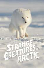 Watch Strange Creatures of the Arctic (TV Special 2022) 1channel