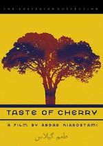 Watch Taste of Cherry 1channel