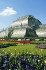 Watch Cruickshank on Kew: The Garden That Changed the World 1channel