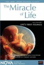Watch The Miracle of Life 1channel