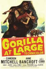 Watch Gorilla at Large 1channel