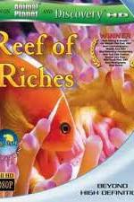 Watch Equator Reefs of Riches 1channel