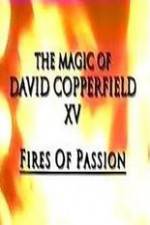 Watch The Magic of David Copperfield XV Fires of Passion 1channel