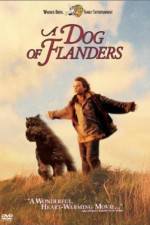 Watch A Dog of Flanders 1channel
