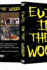 Watch Evil in the Woods 1channel