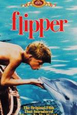 Watch Flipper 1channel