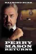 Watch Perry Mason Returns 1channel