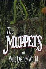 Watch The Muppets at Walt Disney World 1channel