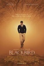 Watch Blackbird 1channel