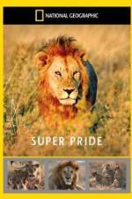 Watch National Geographic: Super Pride  Africa's Largest Lion Pride 1channel
