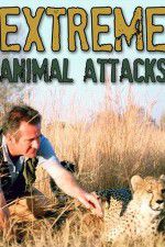 Watch Extreme Animal Attacks 1channel