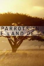 Watch Nature Parrots in the Land of Oz 1channel