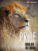 Watch Pride - Ruler\'s at Risk 1channel