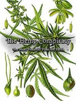 Watch The Hemp Conspiracy: The Most Powerful Plant in the World (Short 2017) 1channel