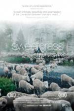 Watch Sweetgrass 1channel