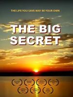 Watch The Big Secret 1channel