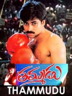 Watch Thammudu 1channel