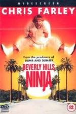 Watch Beverly Hills Ninja 1channel