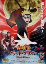 Watch Naruto Shippuden the Movie: Blood Prison 1channel