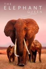 Watch The Elephant Queen 1channel