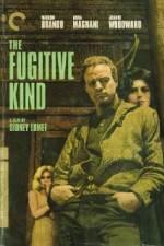 Watch The Fugitive Kind 1channel