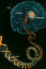 Watch Horizon: Miracle Cure? A Decade of the Human Genome 1channel