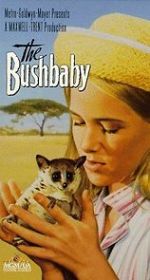 Watch The Bushbaby 1channel