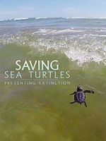 Watch Saving Sea Turtles: Preventing Extinction 1channel