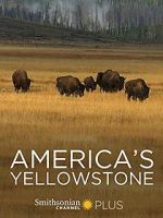 Watch America\'s Yellowstone 1channel