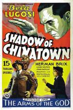 Watch Shadow of Chinatown 1channel