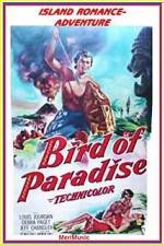 Watch Bird of Paradise 1channel