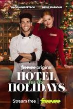 Watch Hotel for the Holidays 1channel