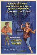 Watch A Tiger Walks 1channel
