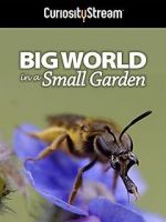Watch Big World in a Small Garden (TV Short 2016) 1channel