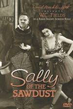 Watch Sally of the Sawdust 1channel
