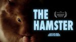 Watch The Hamster 1channel