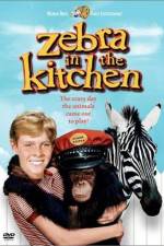 Watch Zebra in the Kitchen 1channel