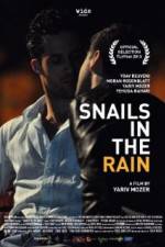 Watch Snails in the Rain 1channel