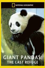 Watch National Geographic Giant Pandas The Last Refuge 1channel