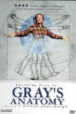Watch Gray's Anatomy 1channel